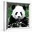 China 10MKm2 Collection - Giant Panda-Philippe Hugonnard-Framed Photographic Print