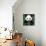 China 10MKm2 Collection - Giant Panda-Philippe Hugonnard-Framed Premier Image Canvas displayed on a wall