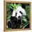 China 10MKm2 Collection - Giant Panda-Philippe Hugonnard-Framed Premier Image Canvas