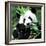 China 10MKm2 Collection - Giant Panda-Philippe Hugonnard-Framed Photographic Print