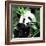 China 10MKm2 Collection - Giant Panda-Philippe Hugonnard-Framed Photographic Print