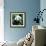 China 10MKm2 Collection - Giant Panda-Philippe Hugonnard-Framed Photographic Print displayed on a wall