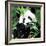 China 10MKm2 Collection - Giant Panda-Philippe Hugonnard-Framed Photographic Print