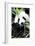 China 10MKm2 Collection - Giant Panda-Philippe Hugonnard-Framed Photographic Print