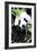 China 10MKm2 Collection - Giant Panda-Philippe Hugonnard-Framed Photographic Print