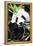 China 10MKm2 Collection - Giant Panda-Philippe Hugonnard-Framed Premier Image Canvas