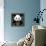 China 10MKm2 Collection - Giant Panda-Philippe Hugonnard-Framed Premier Image Canvas displayed on a wall