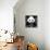 China 10MKm2 Collection - Giant Panda-Philippe Hugonnard-Framed Premier Image Canvas displayed on a wall