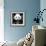 China 10MKm2 Collection - Giant Panda-Philippe Hugonnard-Framed Photographic Print displayed on a wall