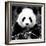 China 10MKm2 Collection - Giant Panda-Philippe Hugonnard-Framed Photographic Print