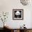 China 10MKm2 Collection - Giant Panda-Philippe Hugonnard-Framed Photographic Print displayed on a wall