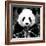 China 10MKm2 Collection - Giant Panda-Philippe Hugonnard-Framed Photographic Print