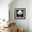 China 10MKm2 Collection - Giant Panda-Philippe Hugonnard-Framed Photographic Print displayed on a wall