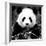 China 10MKm2 Collection - Giant Panda-Philippe Hugonnard-Framed Photographic Print