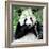 China 10MKm2 Collection - Giant Panda-Philippe Hugonnard-Framed Photographic Print