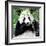 China 10MKm2 Collection - Giant Panda-Philippe Hugonnard-Framed Photographic Print