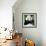 China 10MKm2 Collection - Giant Panda-Philippe Hugonnard-Framed Photographic Print displayed on a wall