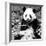 China 10MKm2 Collection - Giant Panda-Philippe Hugonnard-Framed Photographic Print