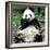 China 10MKm2 Collection - Giant Panda-Philippe Hugonnard-Framed Photographic Print