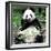 China 10MKm2 Collection - Giant Panda-Philippe Hugonnard-Framed Photographic Print