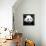 China 10MKm2 Collection - Giant Panda-Philippe Hugonnard-Framed Premier Image Canvas displayed on a wall