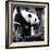 China 10MKm2 Collection - Giant Panda-Philippe Hugonnard-Framed Photographic Print