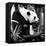 China 10MKm2 Collection - Giant Panda-Philippe Hugonnard-Framed Premier Image Canvas