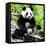 China 10MKm2 Collection - Giant Panda-Philippe Hugonnard-Framed Premier Image Canvas