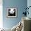 China 10MKm2 Collection - Giant Panda-Philippe Hugonnard-Framed Photographic Print displayed on a wall