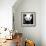 China 10MKm2 Collection - Giant Panda-Philippe Hugonnard-Framed Photographic Print displayed on a wall