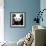 China 10MKm2 Collection - Giant Panda-Philippe Hugonnard-Framed Photographic Print displayed on a wall