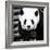 China 10MKm2 Collection - Giant Panda-Philippe Hugonnard-Framed Photographic Print