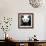 China 10MKm2 Collection - Giant Panda-Philippe Hugonnard-Framed Photographic Print displayed on a wall