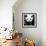 China 10MKm2 Collection - Giant Panda-Philippe Hugonnard-Framed Photographic Print displayed on a wall