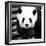 China 10MKm2 Collection - Giant Panda-Philippe Hugonnard-Framed Photographic Print