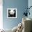 China 10MKm2 Collection - Giant Panda-Philippe Hugonnard-Framed Photographic Print displayed on a wall