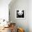 China 10MKm2 Collection - Giant Panda-Philippe Hugonnard-Framed Photographic Print displayed on a wall