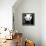 China 10MKm2 Collection - Giant Panda-Philippe Hugonnard-Framed Premier Image Canvas displayed on a wall