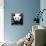 China 10MKm2 Collection - Giant Panda-Philippe Hugonnard-Framed Premier Image Canvas displayed on a wall