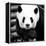 China 10MKm2 Collection - Giant Panda-Philippe Hugonnard-Framed Premier Image Canvas