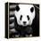 China 10MKm2 Collection - Giant Panda-Philippe Hugonnard-Framed Premier Image Canvas