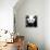 China 10MKm2 Collection - Giant Panda-Philippe Hugonnard-Framed Premier Image Canvas displayed on a wall