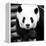 China 10MKm2 Collection - Giant Panda-Philippe Hugonnard-Framed Premier Image Canvas