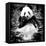 China 10MKm2 Collection - Giant Panda-Philippe Hugonnard-Framed Premier Image Canvas