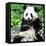 China 10MKm2 Collection - Giant Panda-Philippe Hugonnard-Framed Premier Image Canvas