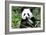 China 10MKm2 Collection - Giant Panda-Philippe Hugonnard-Framed Photographic Print