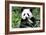 China 10MKm2 Collection - Giant Panda-Philippe Hugonnard-Framed Photographic Print