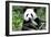 China 10MKm2 Collection - Giant Panda-Philippe Hugonnard-Framed Photographic Print