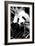 China 10MKm2 Collection - Giant Panda-Philippe Hugonnard-Framed Photographic Print