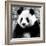 China 10MKm2 Collection - Giant Panda-Philippe Hugonnard-Framed Photographic Print